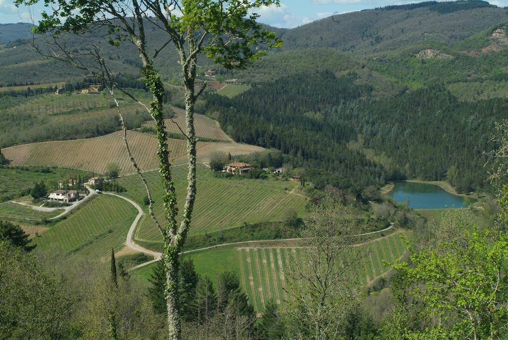 Agriturismo Vinci Gaiole in Chianti Exterior foto